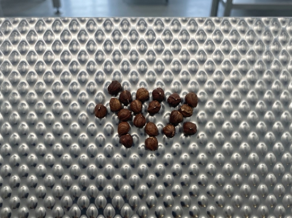 RVS-plaat met 6WL-wafelpatroon met hazelnoten erop